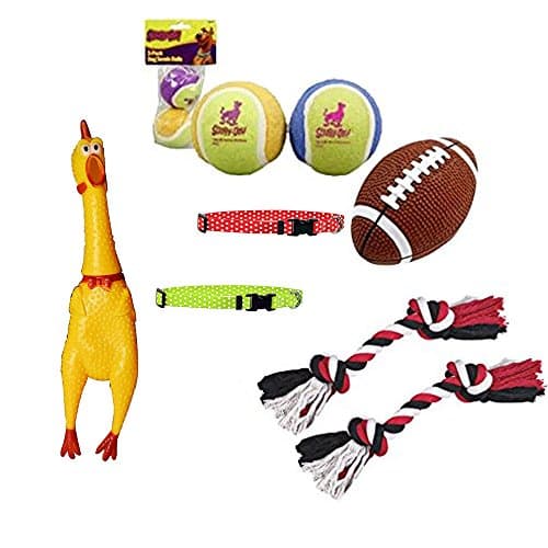 Scooby-Doo Dog Toy Bundle