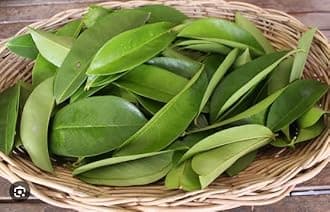 - Soursop Fresh Dry Leaves (500 Leaves)- Health Suppliment dry leaf