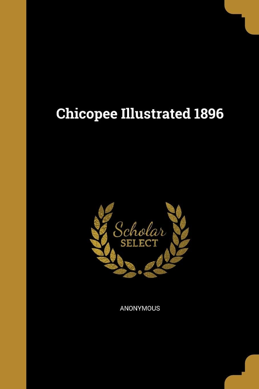 Chicopee Illustrated 1896