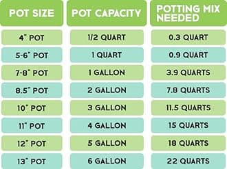 All-Purpose Orchid Bark & Perlite Potting Mix (2QT) - Indoor Plant Soil with Good Drainage and Water Retention