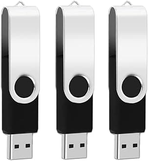 3Pack of 1GB USB Flash Drives EASTBULL USB 2.0 Drive Swivel USB Drives Memory Stick Metal Pen Drive (Black, 1GB)