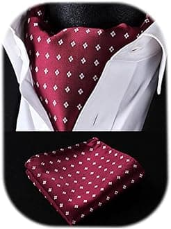 HISDERNSetSense Men's Floral Jacquard Woven Ascot Set One Size Burgundy/Gray
