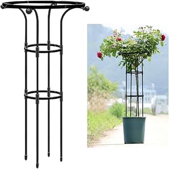 - HASTHIP® Metal Garden Trellis for Climbing Plants, Vertical Plant Support with Hollow Roof Design, Rust-Proof Indoor/Outdoor Use for Potted Plants Vegetable Flowers Vine (Dia 20cm, Height 95cm)