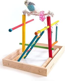 Penn-Plax Bird Life Wooden Playpen – Perfect for Parakeets, Lovebirds, Parrotlets, Cockatiels, and Green Cheek Conures – Medium