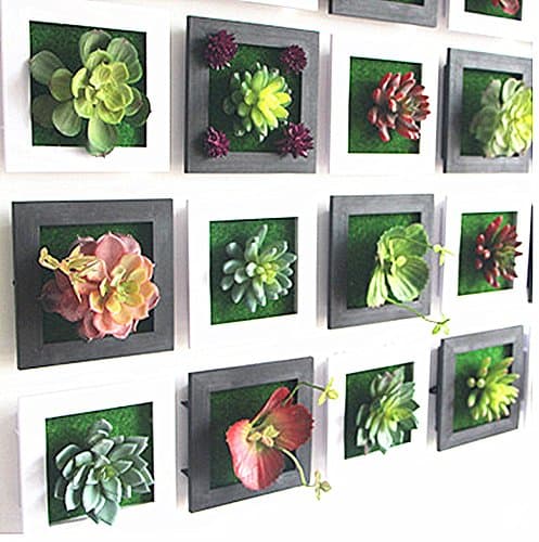 3-D Real Touch Succulent Wall Frames (4 in a Set) - DA0002