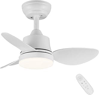 Newday 24inch Small White Ceiling Fan with Light and Remote Control, Diammable LED Lights, 3 Blades, Quiet DC Motor 6 Speeds Memory Function for Bedroom Living Room