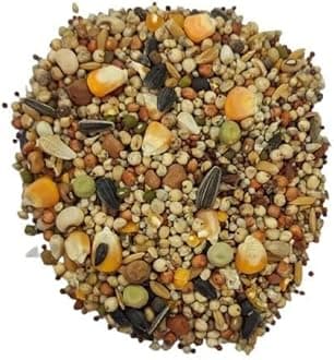 All Type Bird of Pigeons & Dove/Mix Seed Bird Food 1Kg, All Life Stages