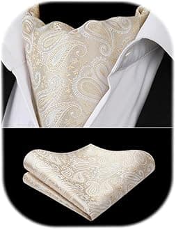 HISDERN Ascot Ties for Men Paisley Cravat Tie and Pocket Square Set Floral Mens Ascot Scarf Handkerchief Wedding Party