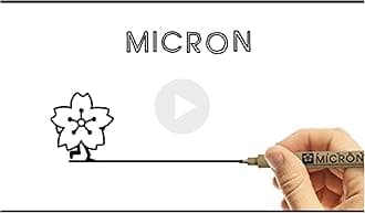 Sakura Pigma Micron Fineliner Pens - Archival Black Ink Pens - Pens for Writing, Drawing, or Journaling - Black Colored Ink - 12 Point Size - 6 Pack