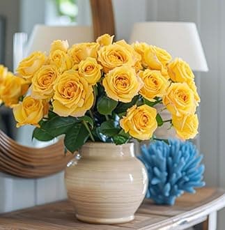 GlobalRose 24 Yellow Roses Bouquet - Responsibly Sourced Roses Fresh Flowers - Hand-Picked Flowers Fresh Bouquet for Graduation, Anniversary, Birthday & Special Occasions (2 Dozen)
