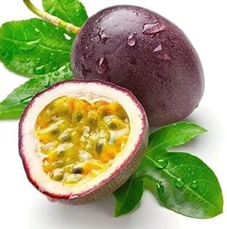 Exotic Passion fruit Live Plant[CF12]