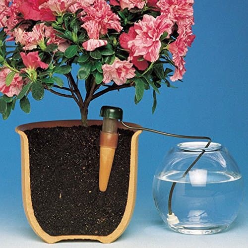 Automatic watering Blumat