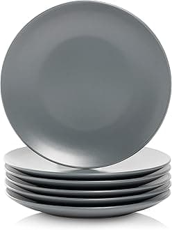 10 Strawberry Street Wazee Matte 8.25" Coupe Salad Plate, Set of 6, Charcoal Gray