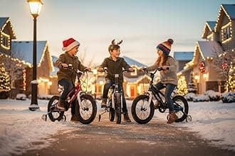 RoyalBaby FS-3 kids bike