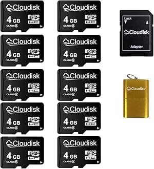 Pack of 10 Micro SD Card 4GB Flash Memory Card C6 Micro SDHC with SD Adapter, Card Reader (4GB)