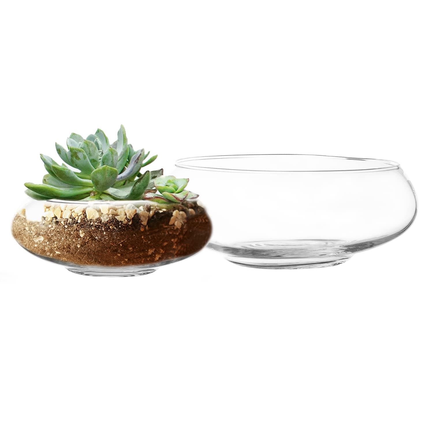 Flat Glass Bowl Set