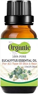 Eucalyptus Essential Oil
