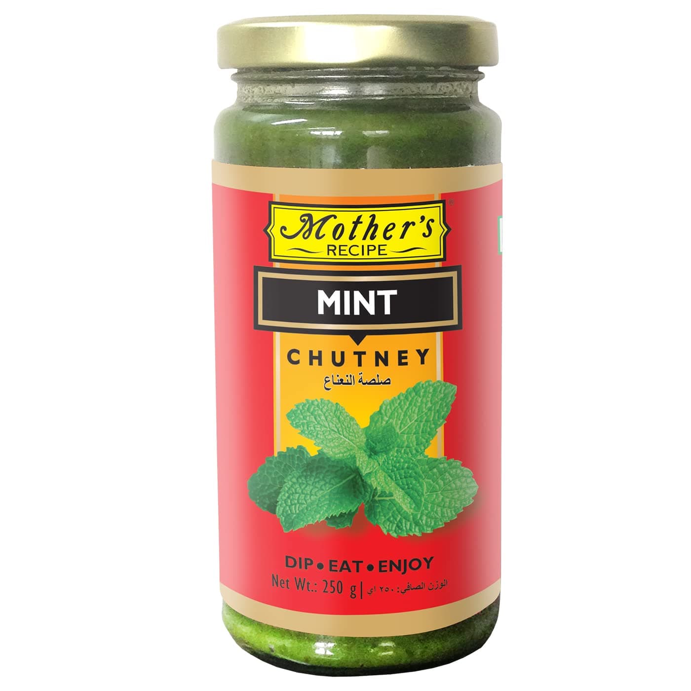 Mint Chutney (250 g)