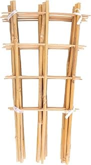 Avalution 10 Pack Bamboo Trellis for Climbing Plants 16" Natural Garden Ladder Trellis, Fan -Shaped Plant Support Trellis for Potted Plant Decor