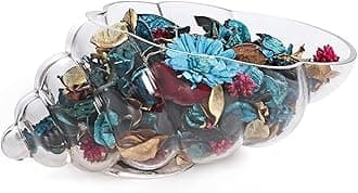 MDLUU Glass Shell Vase, 10-Inch Seashell Potpourri Holder, Decorative Conch Bowl for Shell Collection Display, Sea Glass, Air Plant