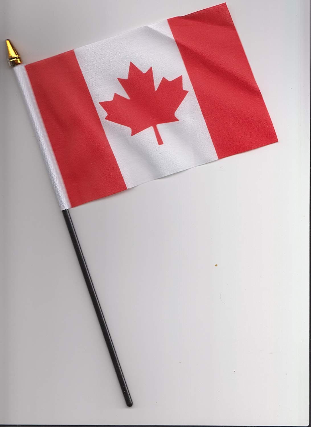 Canada Hand Flag 25cm
