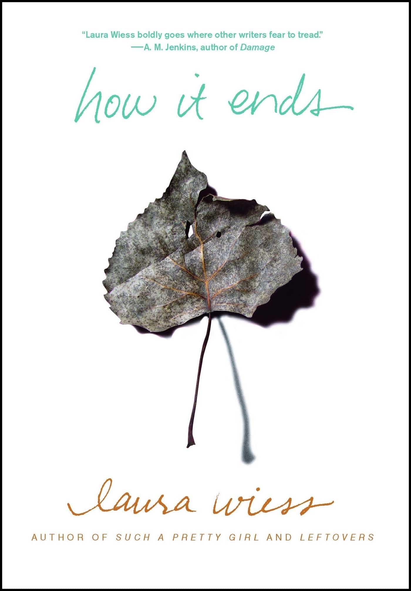 How It Ends Paperback – August 4, 2009