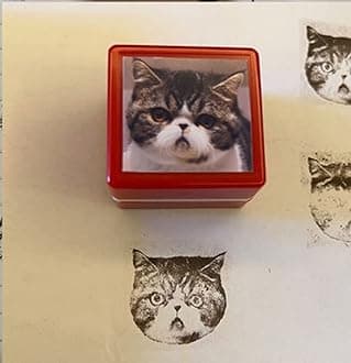 Personalized Pet Face, Custom Dog & Cat Portrait, Gift Idea for Animal Lovers - Custom Ink Stamp (Red)