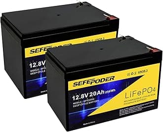 12V 20Ah Lithium LiFePO4 Deep Cycle Battery 2 Pack, 4000+ Cycles Rechargeable Battery for Electric Scooter, Ride On Toy, Lighting, Power Wheels, Fish Finder and More with Built-in 40A BMS