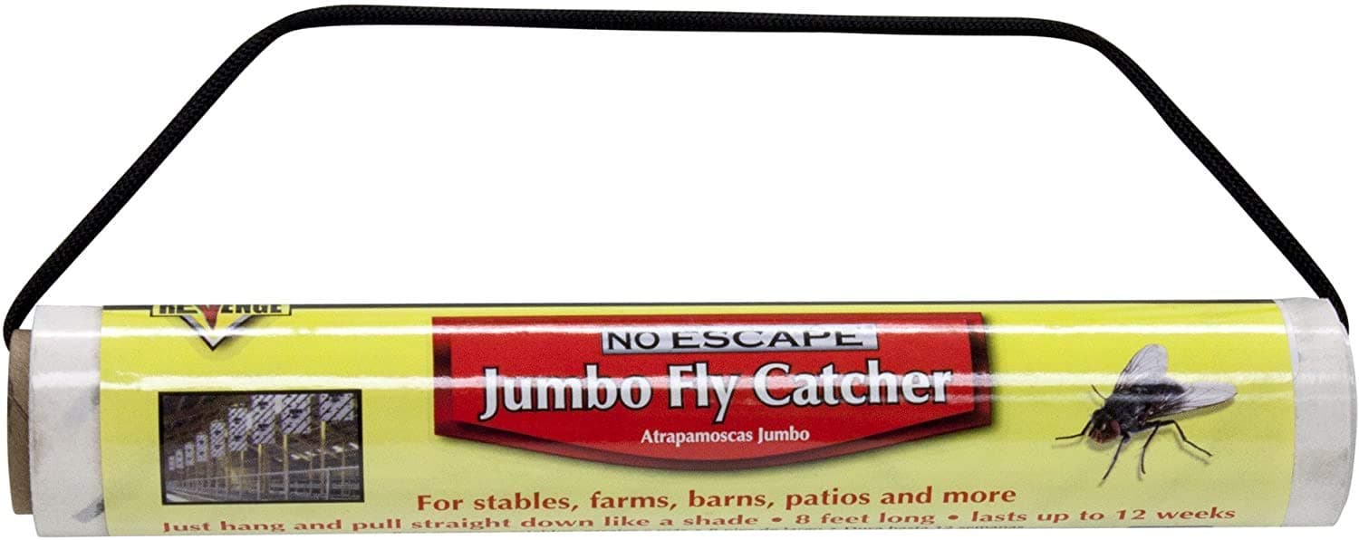 Jumbo Fly Catcher