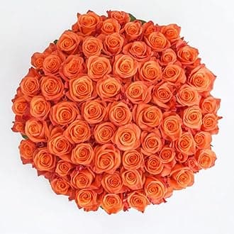 GlobalRose 100 Orange Roses Bouquet - Responsibly Sourced Roses Fresh Flowers - Hand-Picked Flowers Fresh Bouquet for Graduation, Anniversary, Birthday & Special Occasions (4 Bunches of 25 Stems)