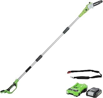 G24PS20K2 Cordless Pole Saw, 20cm Bar Length, 24V 2Ah Battery & Charger