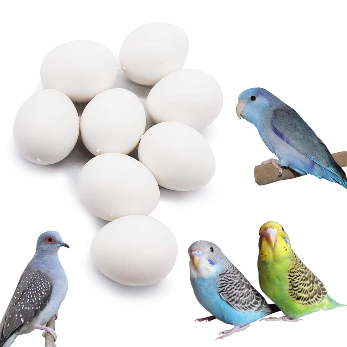 FOIBURELY 8 Pcs Solid Parrot Dummy Eggs Hatching Eggs Parrotlet，Budgie Parakeet，Diamond Dove Trick The Birds to Stop Laying Eggs, Dummy Eggs（19mm16mm）