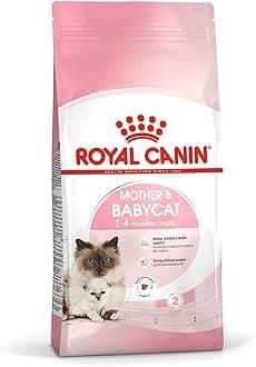 Royal Canin Mother & Babycat Dry Cat Food 10KG
