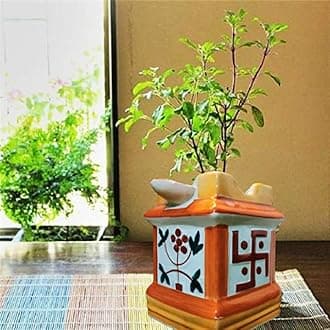 Niyara Ceramic tulsi Pot Design Tulsi Color- Multicolor