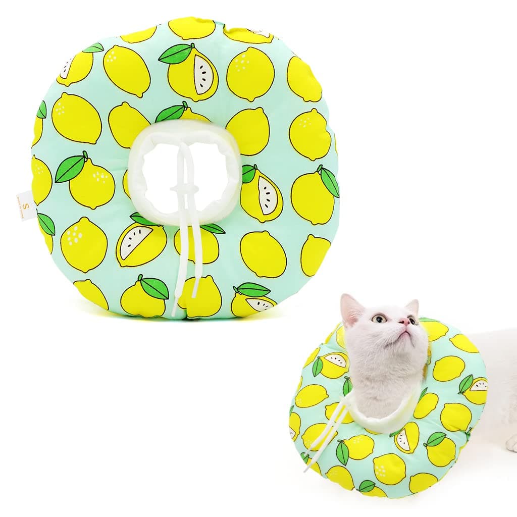 Cat Cone Collar