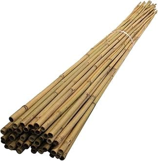 MUSAN Large 2FT 3FT 4FT 5FT 6FT Natural Garden Bamboo Canes - Heavy Duty Strong Plant Support Poles Thick Sticks - Indoor & Outdoor Plants Stakes Wooden Screening Wood Trellis (30, 3FT (10-18mm))