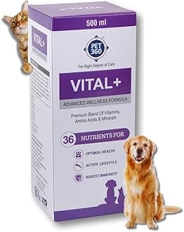 Vital+ Advanced Wellness Formula for Dogs & Cats | Multivitamin Syrup for Healthy Skin, Joints & Boosted Immunity | Nutritional Supplement with Vitamins & Minerals for Enhanced Growth - 500 ml