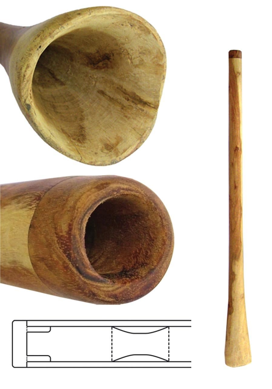 - Handmade Didgeridoo Eucalyptus (50 inch)