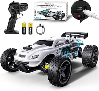 Tecnock RC Remote Control Car for Kids, 1:18 High Speed 20 KM/H 2WD RC Buggy, 2.4GHz Off Road Racing Car with Rechargeable Batteries, Gift for Boys and Girls