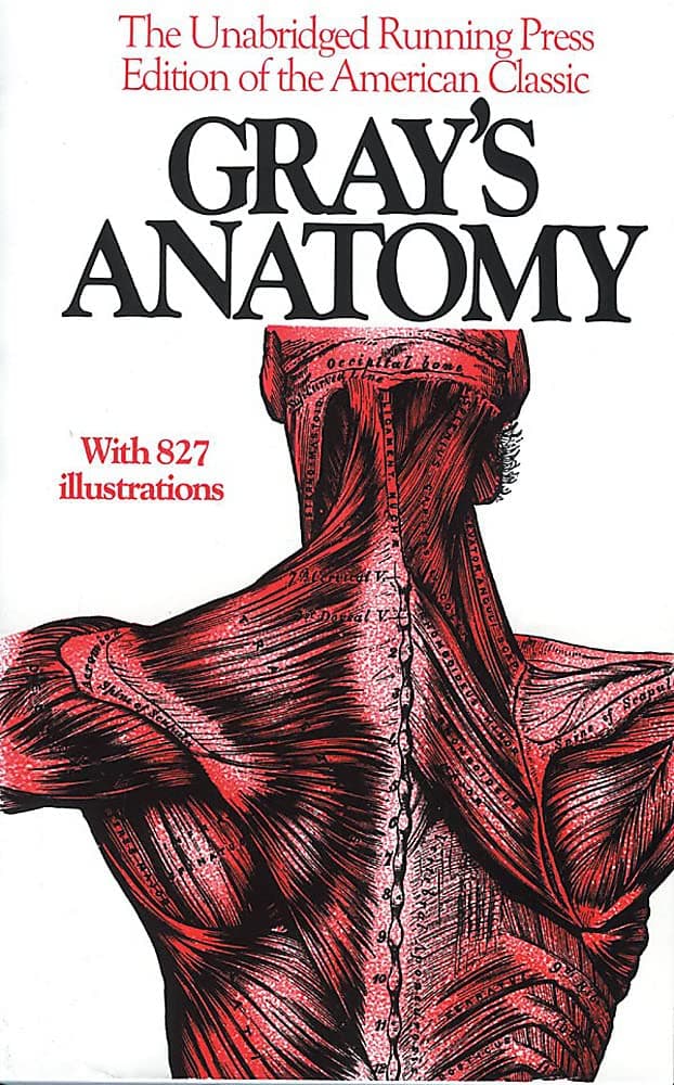 GRAY'S ANATOMY