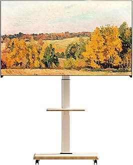 DAYONG Mobile TV Stand with Wheels,Movable TV Floor Stand for 32-70 Inch LCD LED TVs, Portable TV Cart Holds Up to 110Lbs with Shelf, 90° Swivel & Height Adjustable Fit Bedroom Living Room Gym