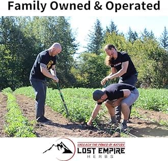 Lost Empire Herbs Hercules Pre Workout Herbal Supplement from No Additives Just Cistanche, Rhodiola, Cordyceps, Shilajit, Polyrhachis Ant & Maral Root to Boost Performance (Powder 100g)