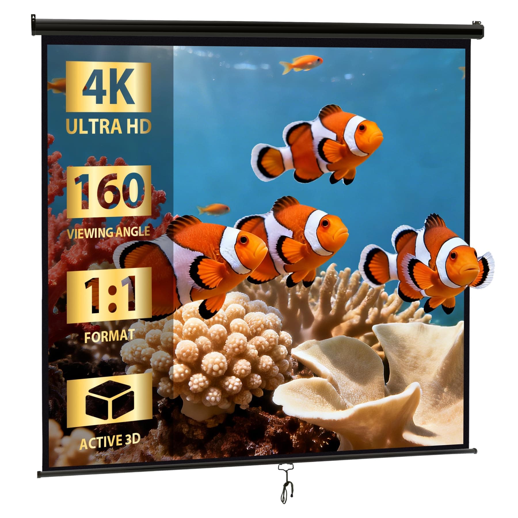 120'' Projection Screen