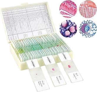 30 Microscope Slides with Specimens for Kids, Prepared Microscope Slides for Kids Microbiology, Glass Slides for Microscope, Biology Gifts for Adults Kids