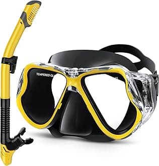Greatever Dry Snorkel Set,Panoramic Wide View Anti-Fog Scuba Diving Mask,Professional Snorkeling Gear for Adults Kids