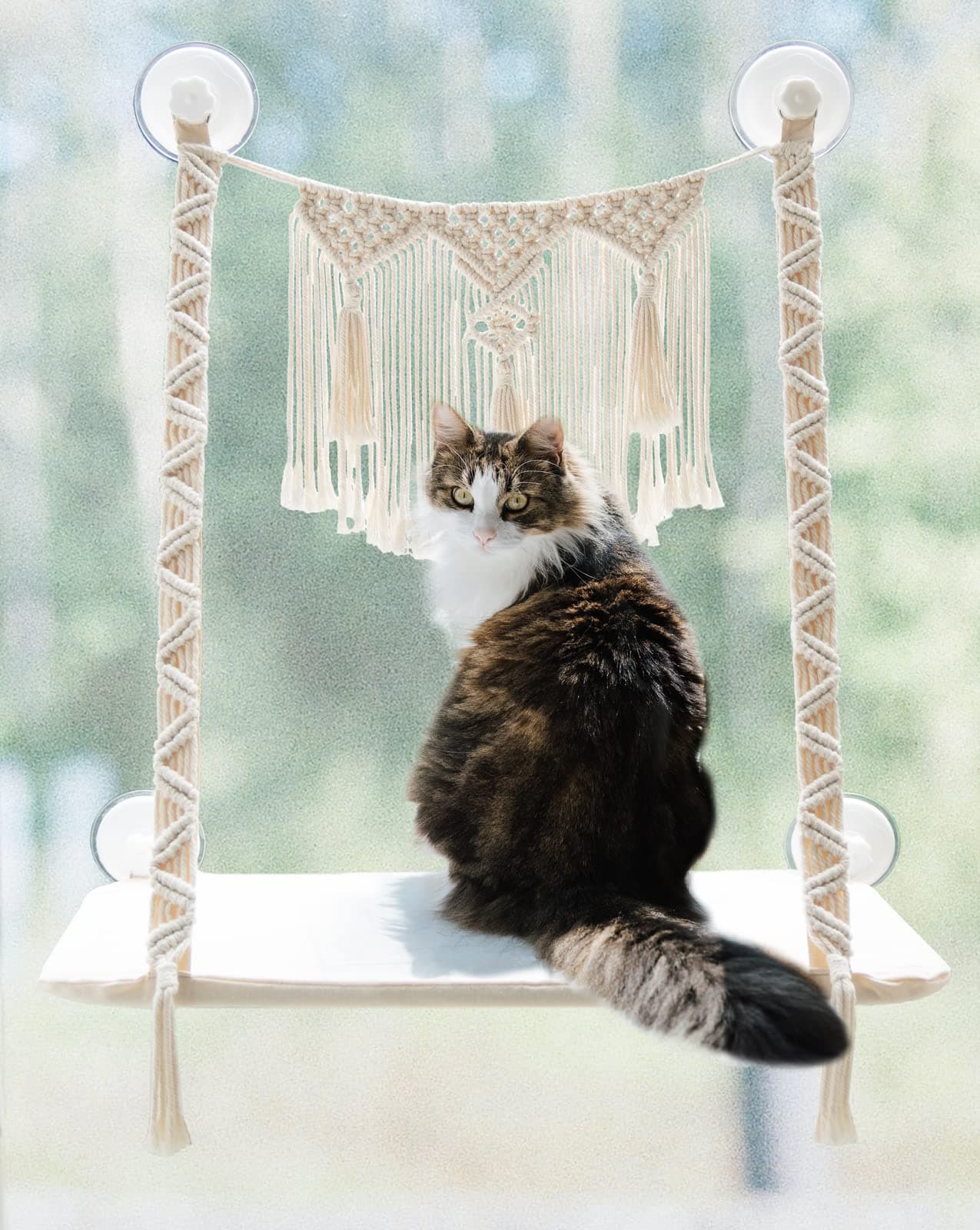 Dahey Cat Window Perch Macrame Cat Hammock Boho Wall Mounted Pet Resting Seat Bed for Indoor Cats Space Saving kitty Sunny Swing Shelf on Window Safety Holds up to 45 lbs with Screw Suction Cups, Gift