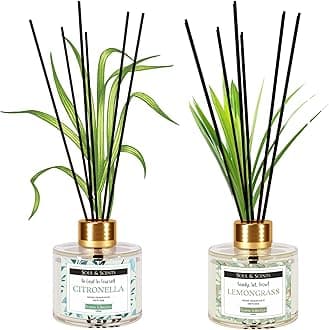 Glass Citronella and Lemongrass Reed Diffuser Set - 120ml with Free 6 Fiber Reed Sticks Each| Toxin Free & Stress Relief|Long Lasting|Room Freshener for Home, & Office| Combo Pack of 2