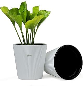 GREENON® 10 Inch Self Watering Plant Pot Set of 2 (4 Pots) | White Outer & Black Inner Planters | Heavy Duty Virgin Plastic | UV Treated Gamla | Ideal for Indoor, Balcony & Home Garden