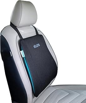 WELLGIVERCar Backrest Cushion With Memory Foam 2 Years Orthopedic Lumbar Support For Back Pain Relief, Spine Alignment, Comfortable Long Rides - 17 X 14 X 3 Inch