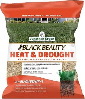 (10514) Black Beauty Heat & Drought Resistant Grass Seed - Cool Season Lawn Seed (3 lb)